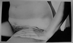 Image description is not available for 2011.016